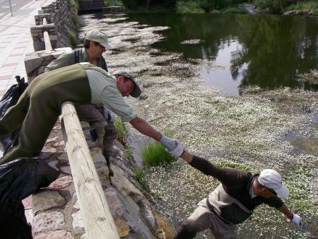 Re: ¡¡Toca limpiar!!